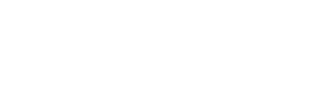 dougy-logo-2a